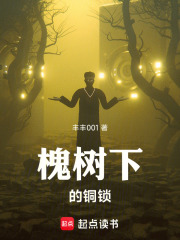槐树下的铜锁在线阅读
