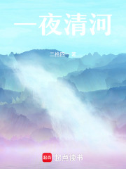 一夜清河在线阅读