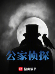 公家侦探在线阅读