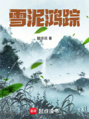 雪泥鸿踪在线阅读