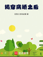 揭穿病娇之后封面