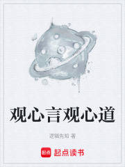 观心言观心道