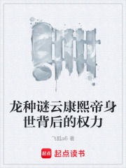 龙种谜云康熙帝身世背后的权力在线阅读