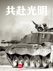 共赴光明在线阅读