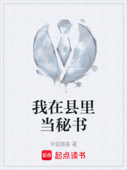 我在县里当秘书在线阅读