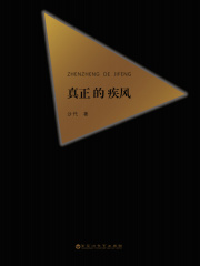 真正的疾风在线阅读