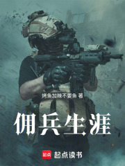 佣兵生涯：不尽征途在线阅读
