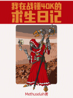 我在战锤40k的求生日记封面