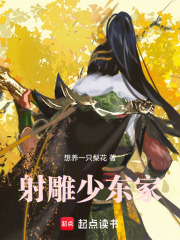 射雕少东家在线阅读