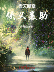 青天断案，侠义襄助