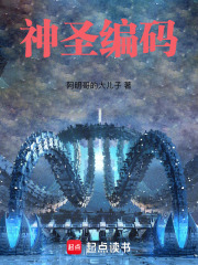 神圣编码在线阅读