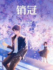 销冠在线阅读