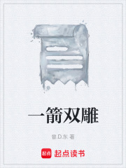 一箭双雕在线阅读