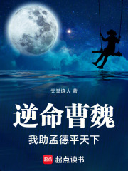 逆命曹魏：我助孟德平天下在线阅读