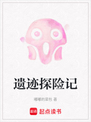 遗迹探险记在线阅读
