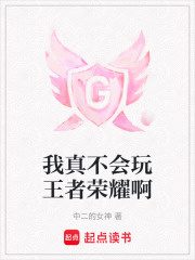 我真不会玩王者荣耀啊在线阅读