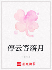 停云等落月在线阅读