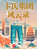 卞氏集团风云录封面