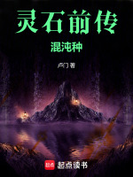 灵石前传：混沌种最新章节在线阅读