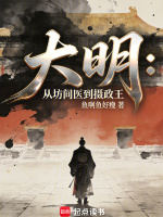 大明：从坊间医到摄政王封面