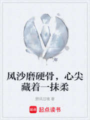 风沙磨硬骨，心尖藏着一抹柔在线阅读