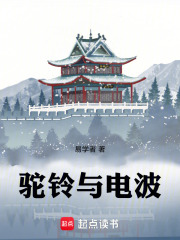驼铃与电波在线阅读
