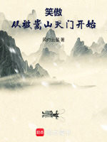 笑傲从被嵩山灭门开始封面