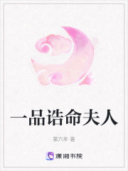 一品诰命夫人