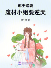 邪王追妻：废材小姐要逆天最新章节在线阅读_全本目录更新无删减 - 起点中文网官方正版