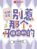 公路求生：别惹那个开拖拉机的封面
