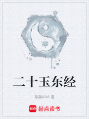 二十玉东经在线阅读