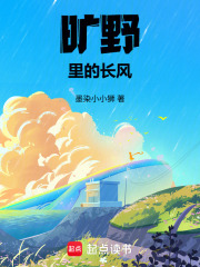 旷野里的长风在线阅读