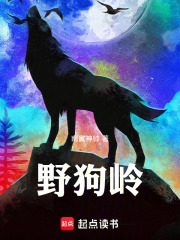 野狗岭在线阅读