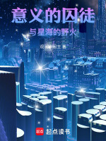 意义的囚徒与星海的野火封面