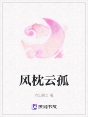 风枕云孤在线阅读