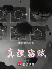 真理窃贼在线阅读