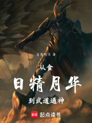 从食日精月华到武道通神
