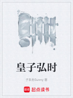 皇子弘时封面