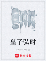 皇子弘时在线阅读
