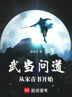 武当问道：从宋青书开始封面