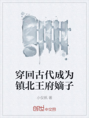 穿回古代成为镇北王府嫡子