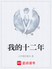 我的十二年在线阅读