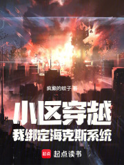 小区穿越，我绑定海克斯系统在线阅读