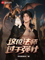 这位法师过于强壮封面