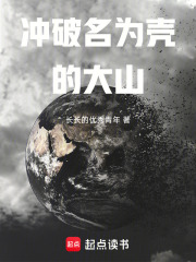 冲破名为壳的大山！在线阅读