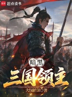 暗黑三国领主封面