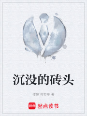 沉没的砖头在线阅读