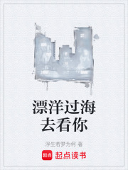 漂洋过海去看你在线阅读