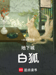 地下城白狐在线阅读