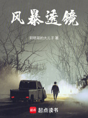 风暴透镜在线阅读